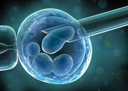新生儿干细胞储存常见疑问解答